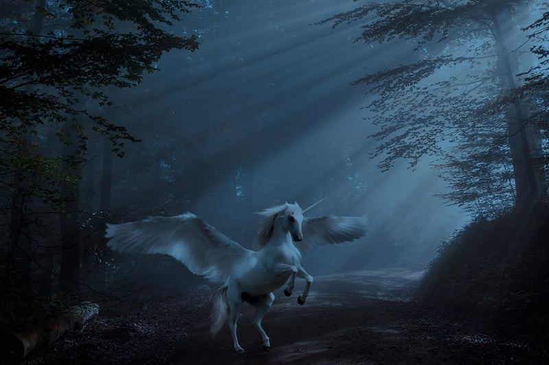 Unicorn Image 2